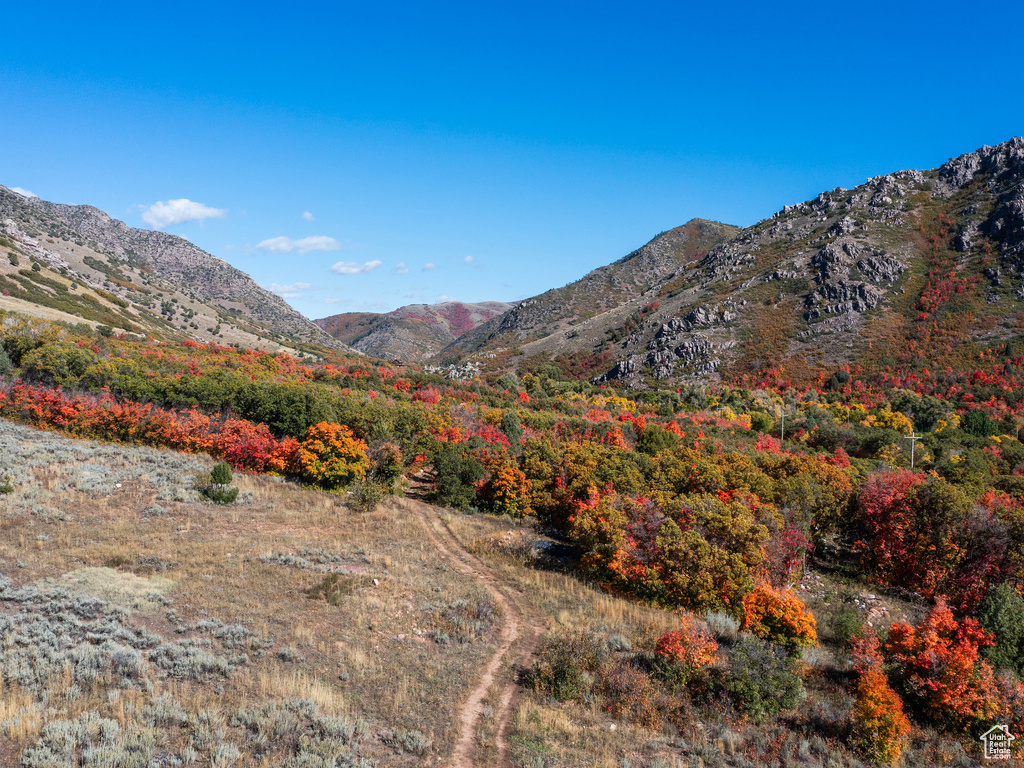 View of mountain background