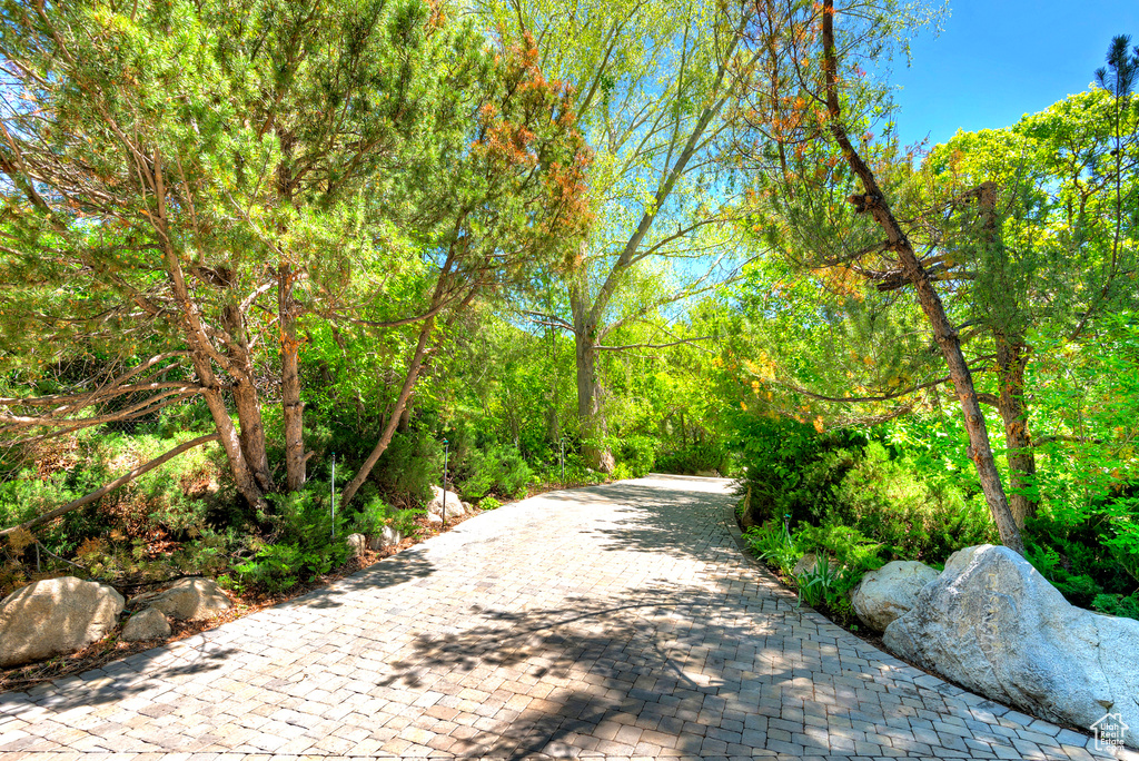 View of community featuring decorative driveway and a wooded view