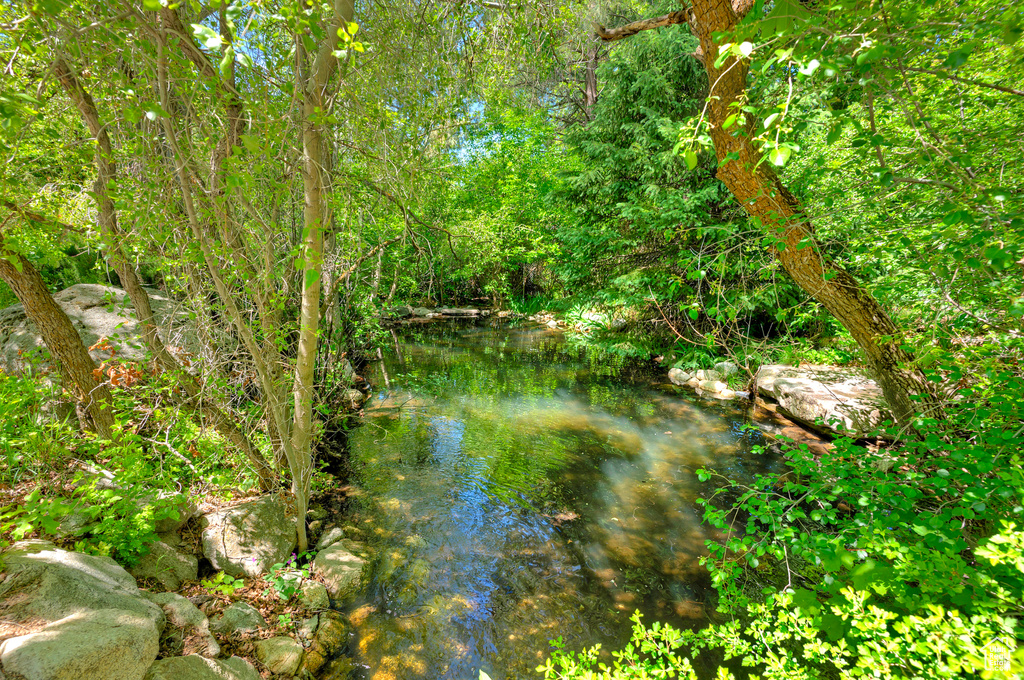 Water view