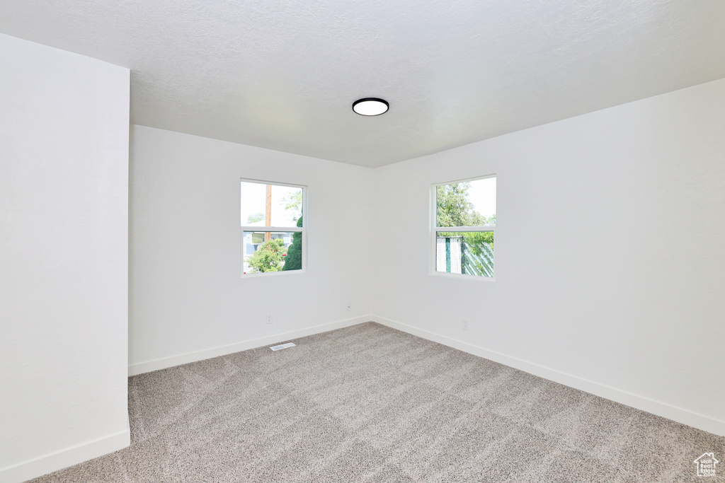 Spare room with plenty of natural light, baseboards, and carpet