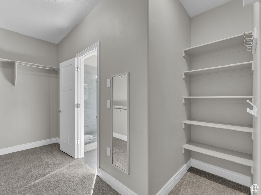 Spacious closet with carpet flooring