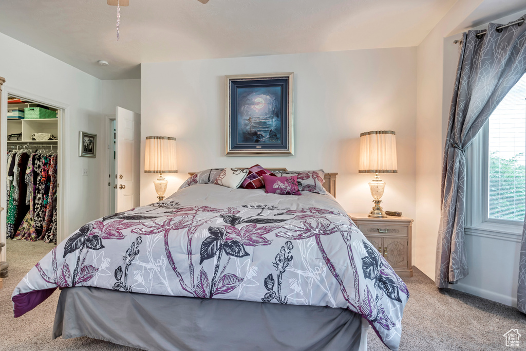 Carpeted bedroom featuring a walk in closet and a closet