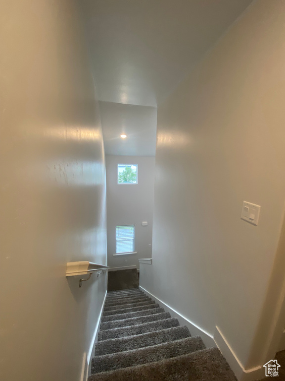 Stairway with carpet flooring and baseboards