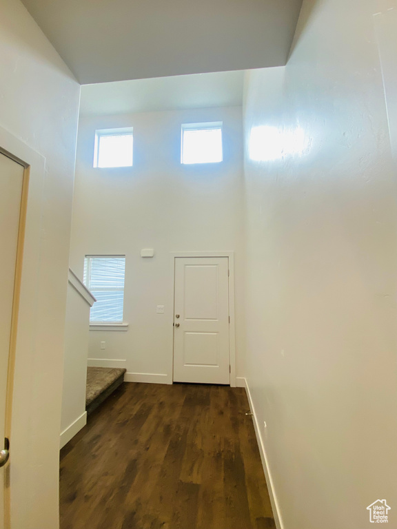 Entryway with a towering ceiling, baseboards, wood finished floors, and plenty of natural light