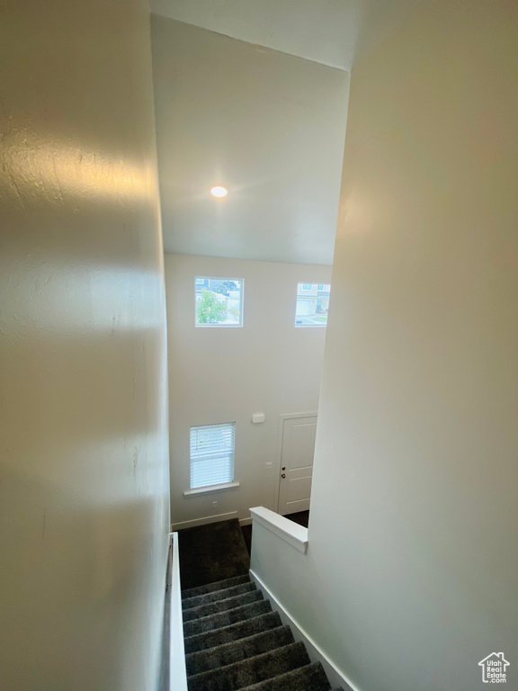 Stairway with carpet floors and baseboards