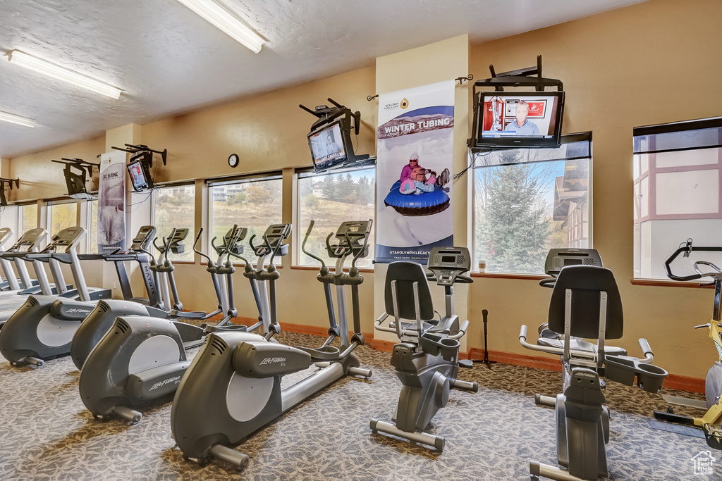 Gym with carpet, baseboards, plenty of natural light, and a textured ceiling
