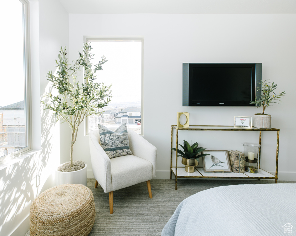 Bedroom with multiple windows and baseboards