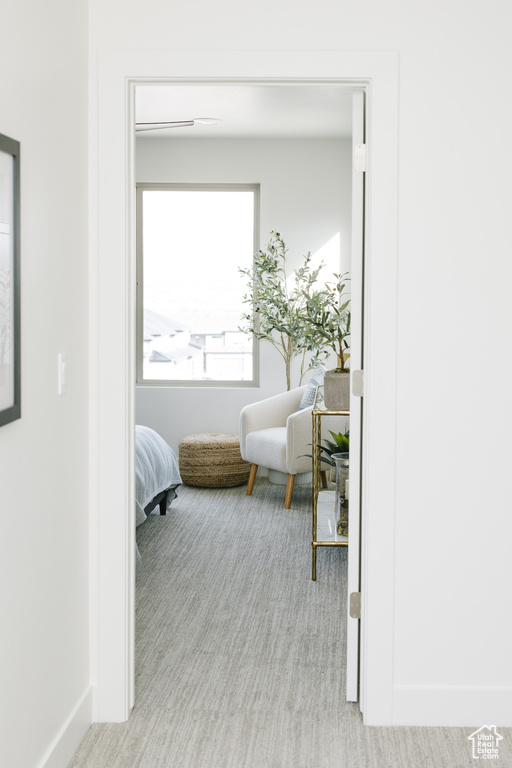 Hallway with baseboards