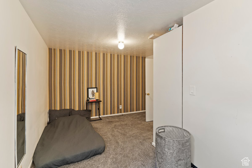 Sitting room with carpet flooring and a textured ceiling
