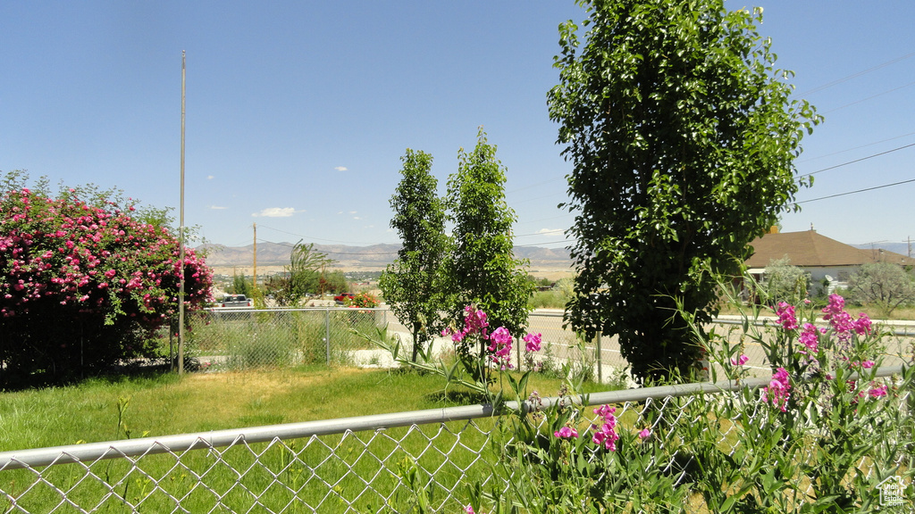 View of yard with a mountain view