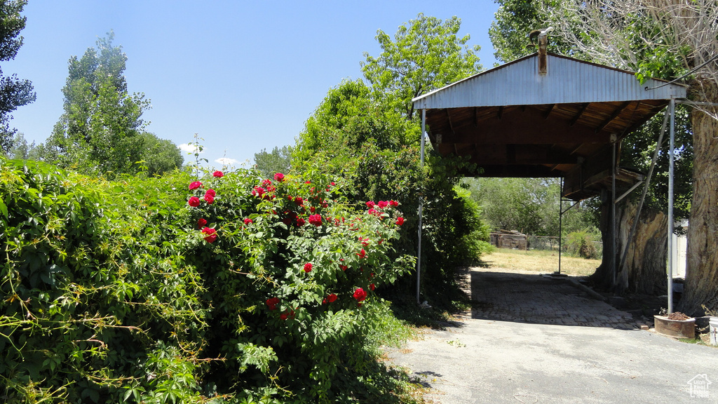 View of yard featuring a carport and asphalt driveway