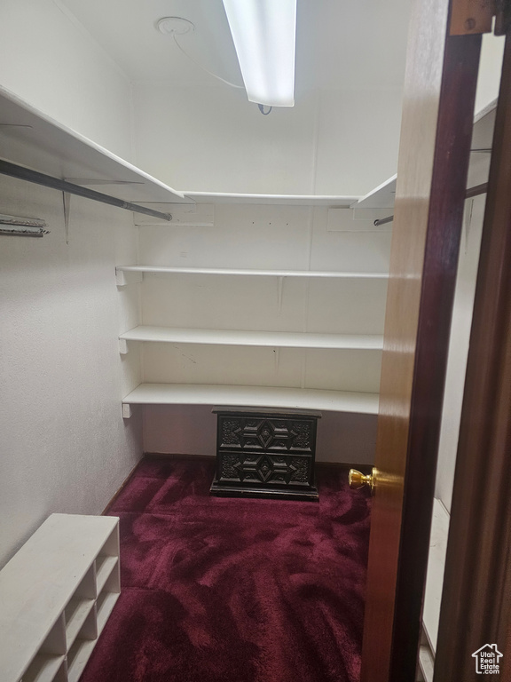 Spacious closet with carpet flooring