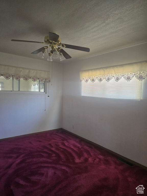 Carpeted empty room featuring plenty of natural light and a ceiling fan