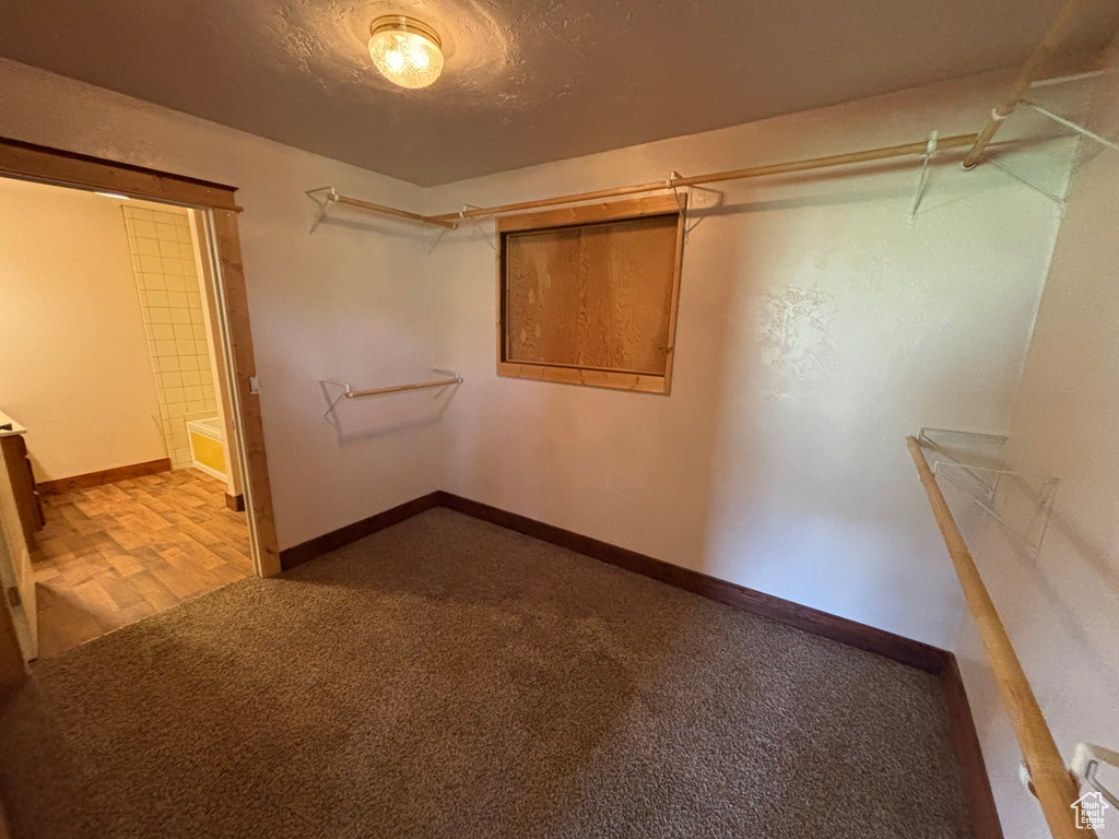 Walk in closet with carpet floors