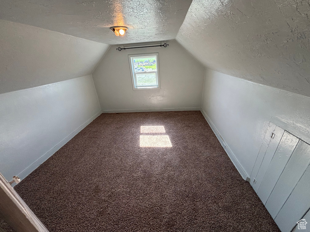 Additional living space with a textured ceiling, radiator heating unit, carpet, lofted ceiling, and baseboards