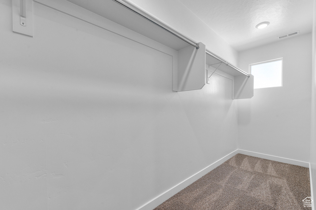 Walk in closet featuring carpet