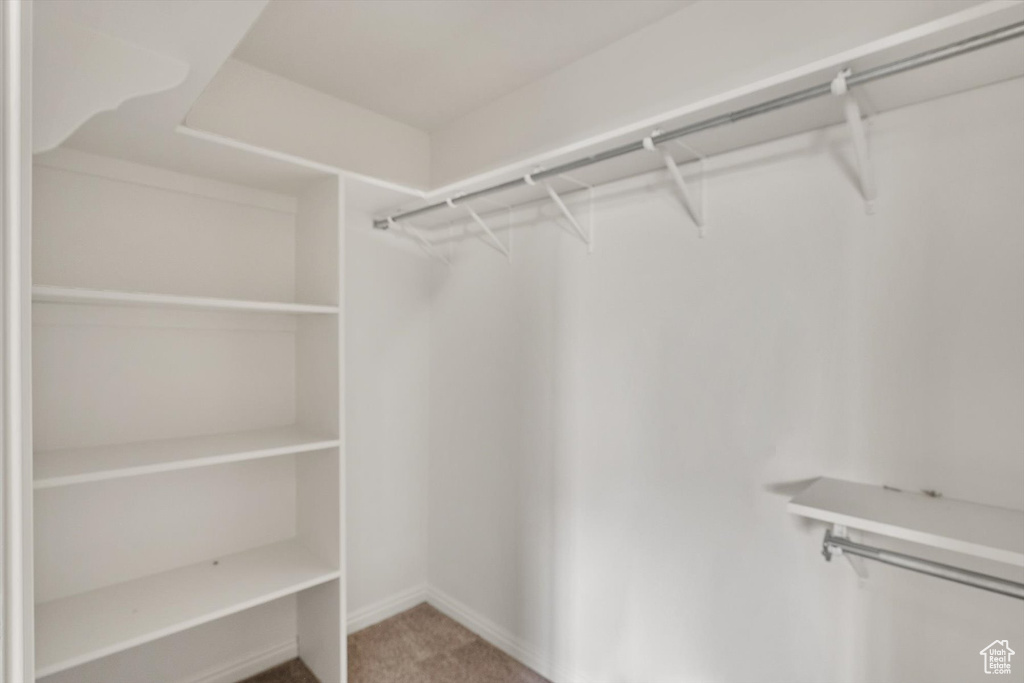 Walk in closet featuring carpet