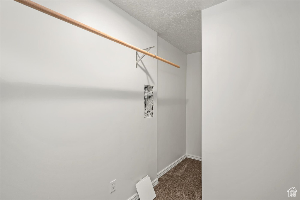 Spacious closet with carpet