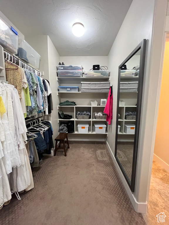 Walk in closet featuring carpet floors