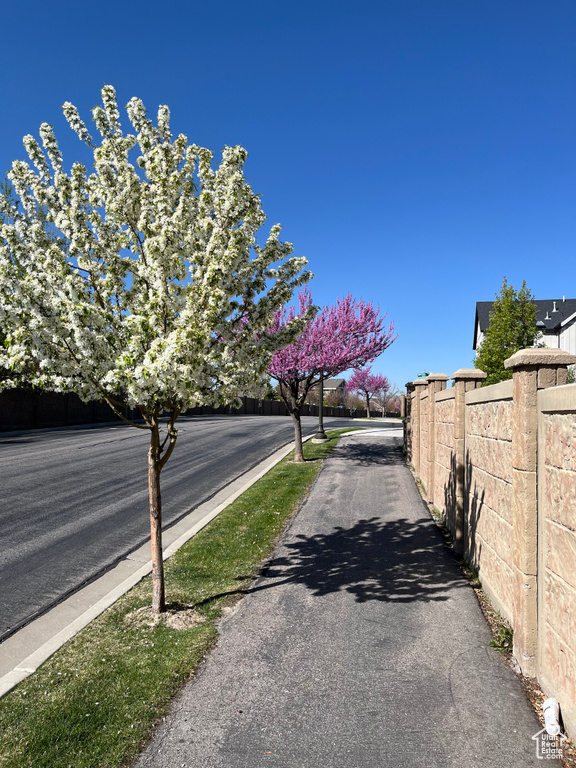 View of road