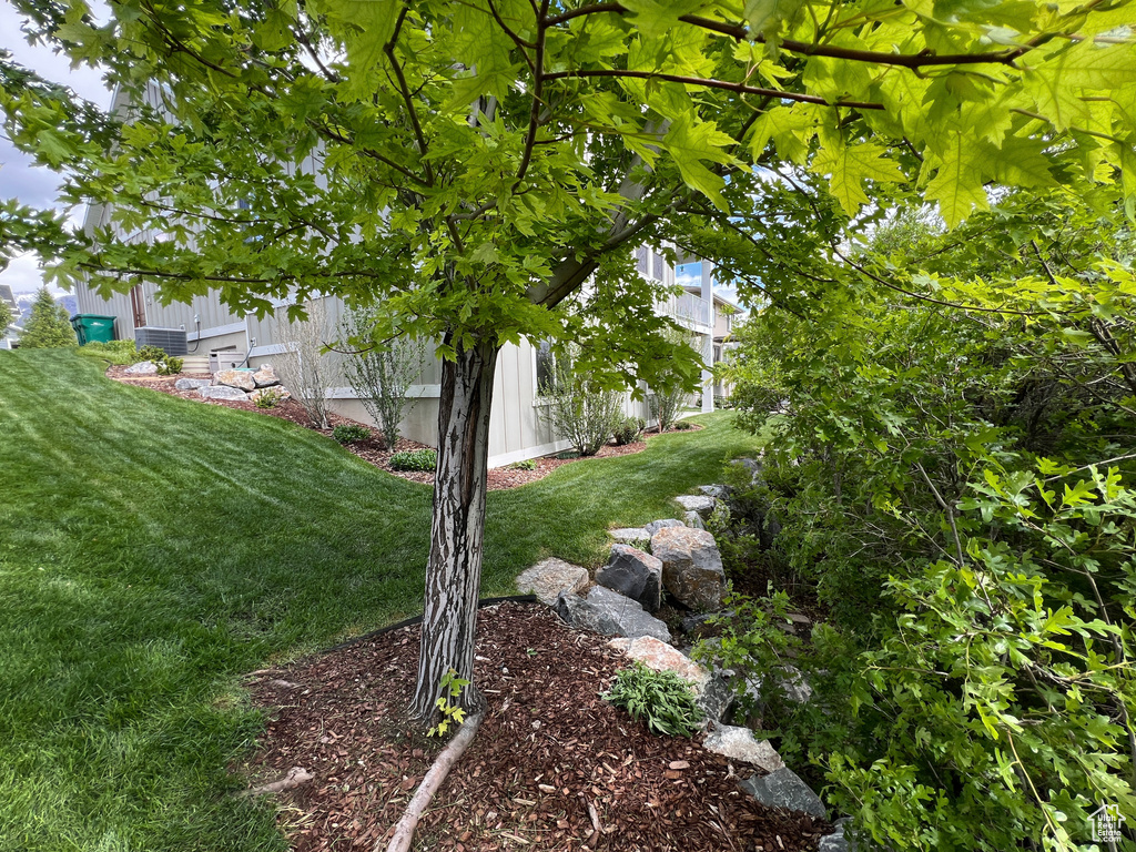 View of green lawn