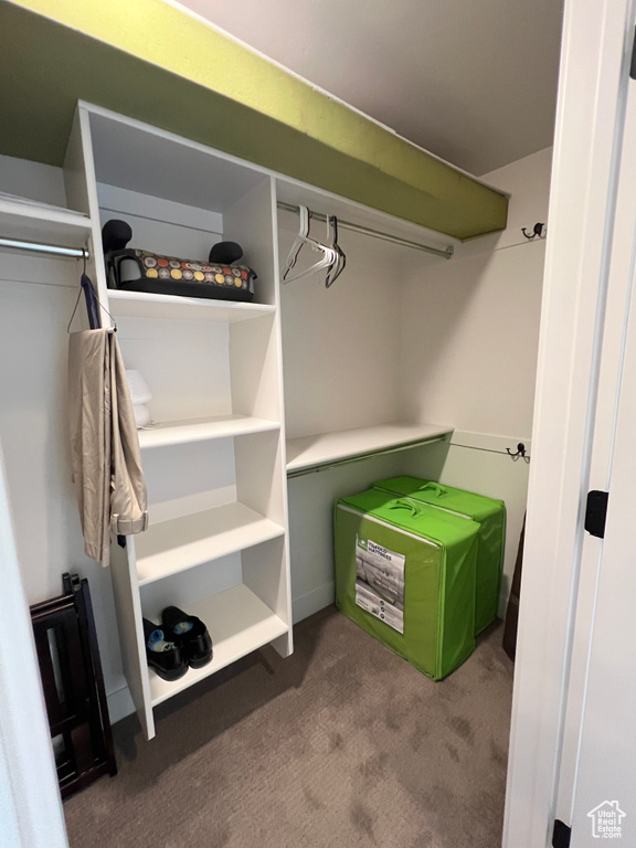 Walk in closet with carpet floors