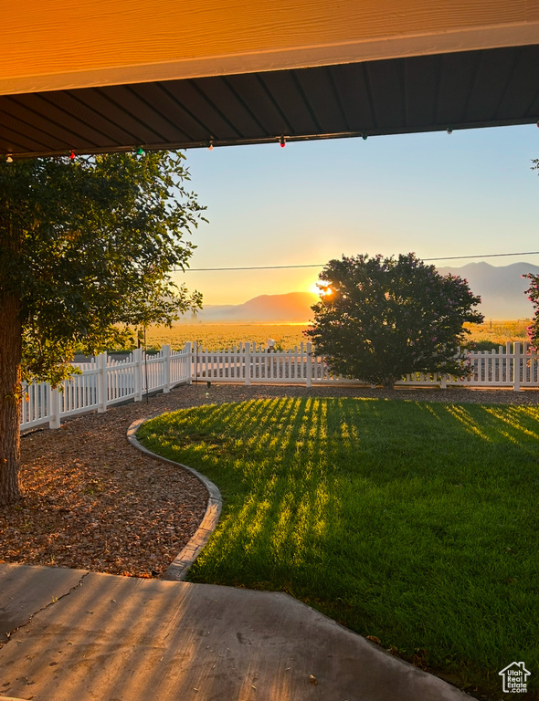 View of yard at dusk