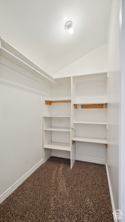 Spacious closet featuring carpet