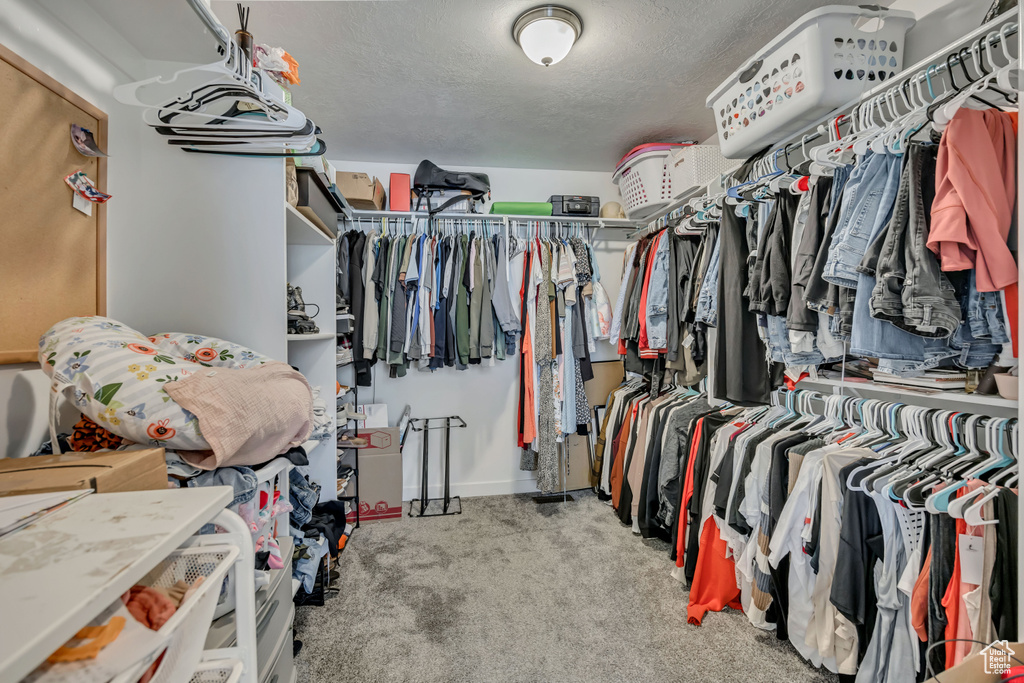 Walk in closet featuring carpet