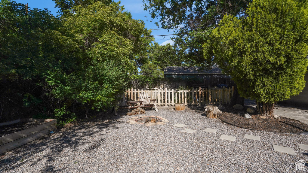 View of yard