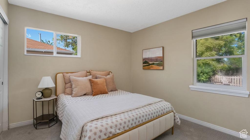 Bedroom featuring carpet floors, multiple windows, and baseboards