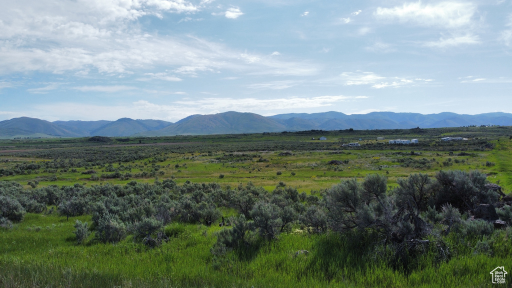 View of mountain background