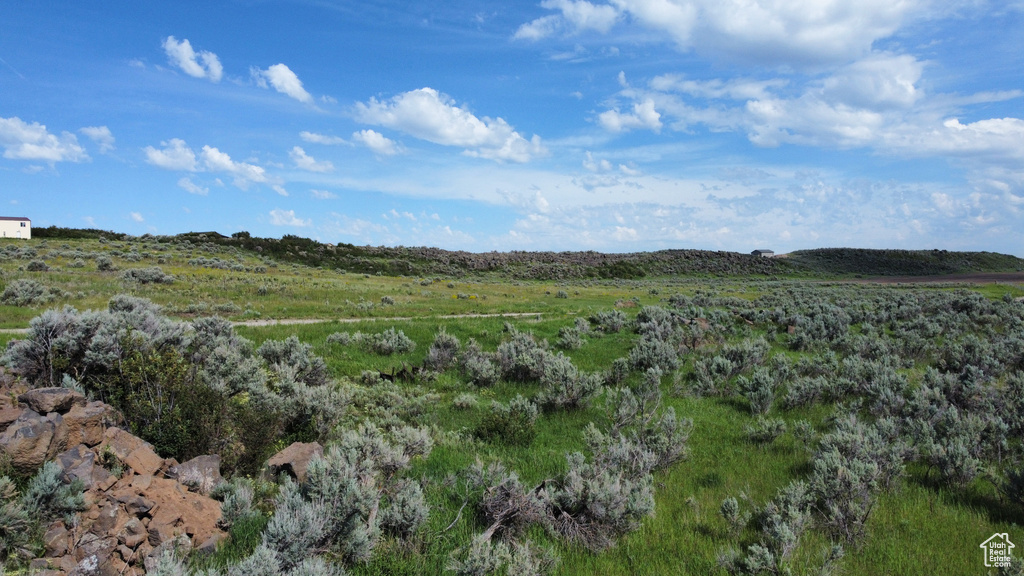 View of undeveloped land