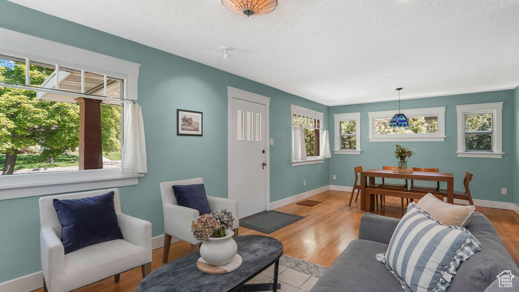 Living room with healthy amount of natural light, a textured ceiling, baseboards, and light wood finished floors