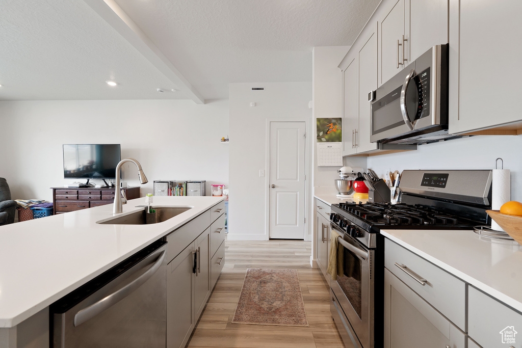 Kitchen with stainless steel appliances, a sink, light wood-type flooring, light countertops, and open floor plan