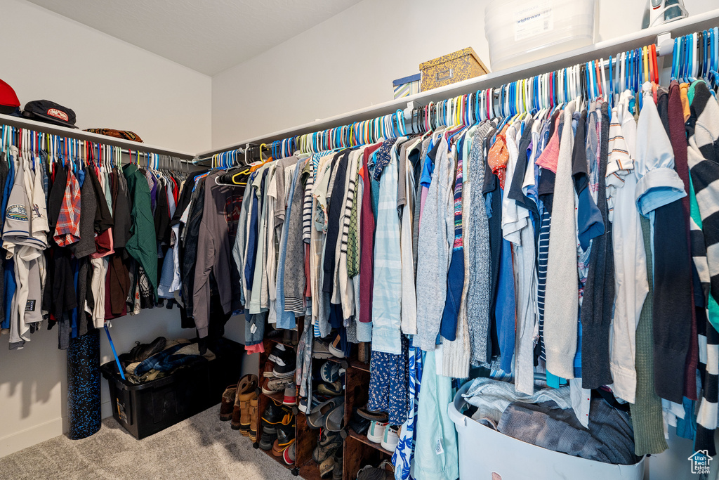 Spacious closet featuring carpet floors