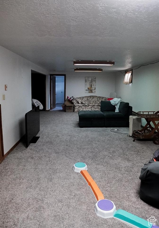 Carpeted living room with a textured ceiling