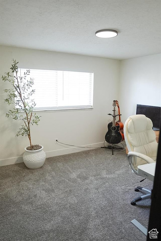 Carpeted office space with baseboards and a textured ceiling