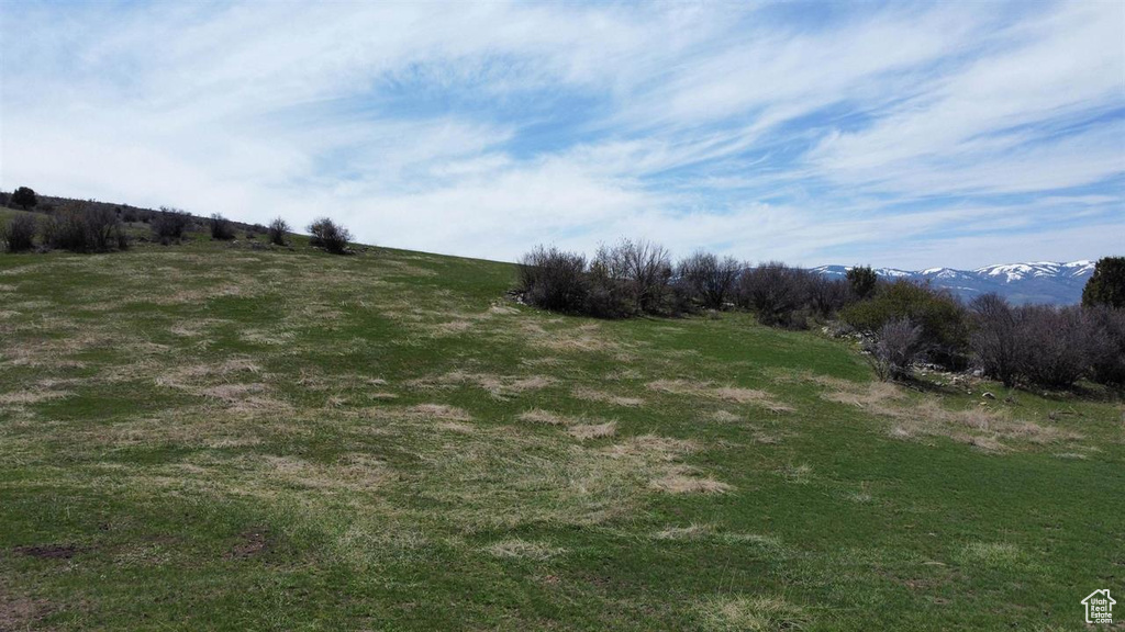 View of yard with a rural view