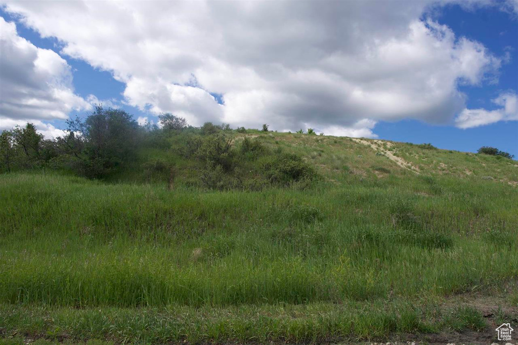View of undeveloped land