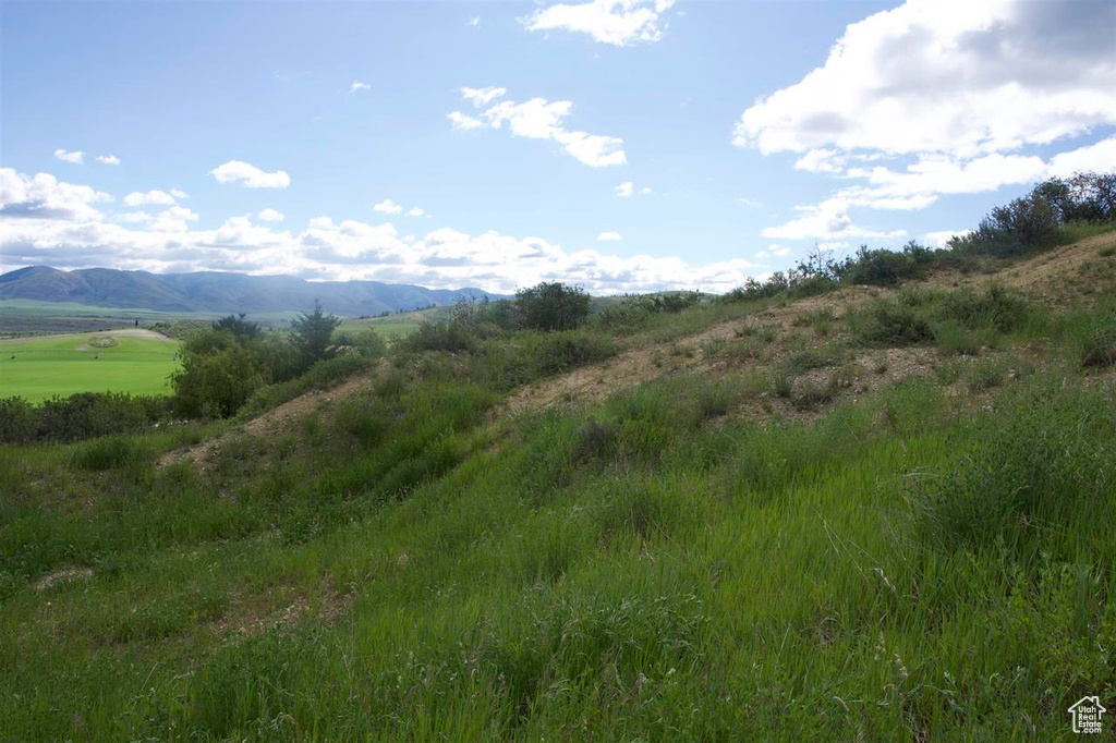 View of mountain backdrop