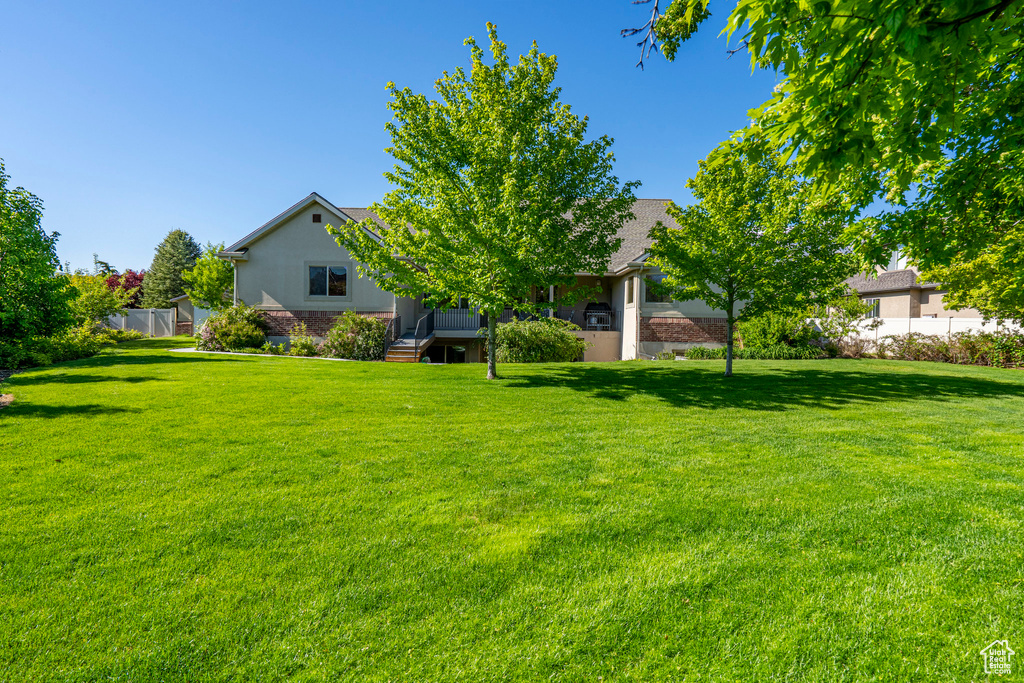 View of grassy yard