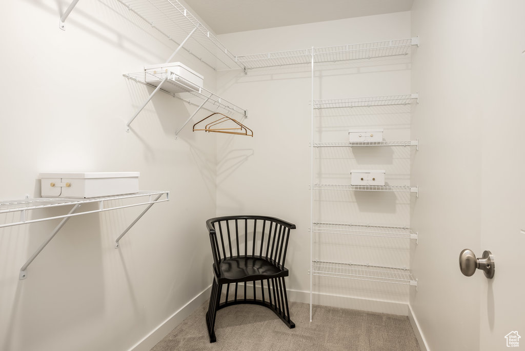 Spacious closet with carpet flooring