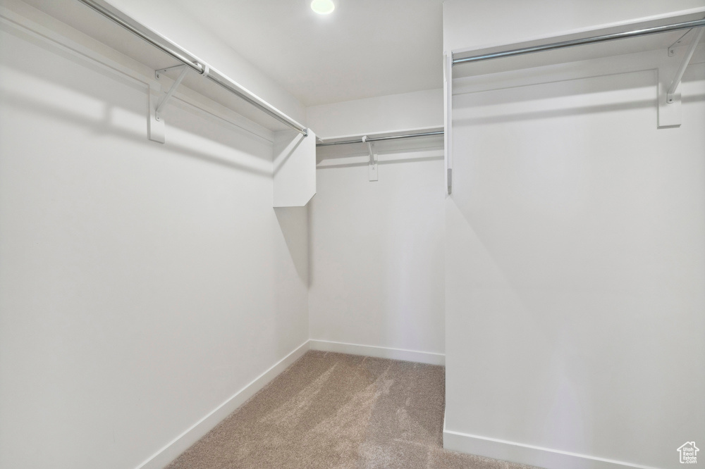 Walk in closet with carpet flooring