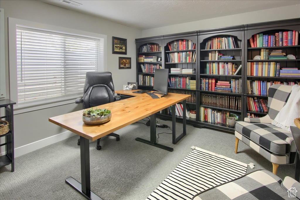 Carpeted home office featuring plenty of natural light and baseboards