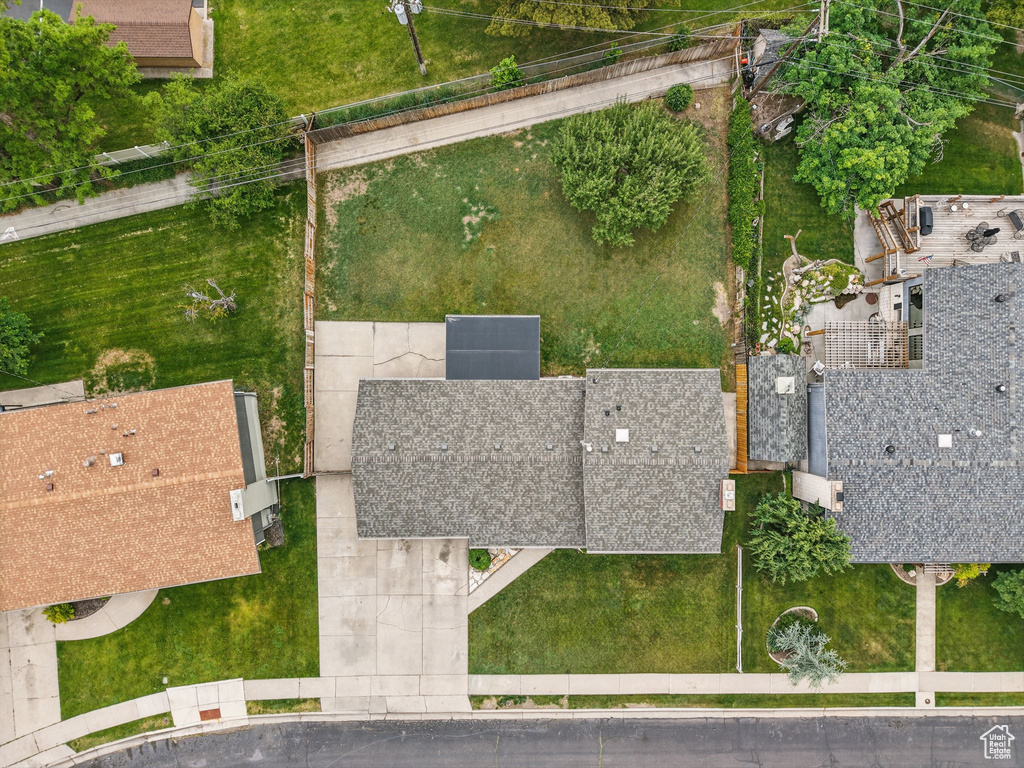 Bird\'s eye view