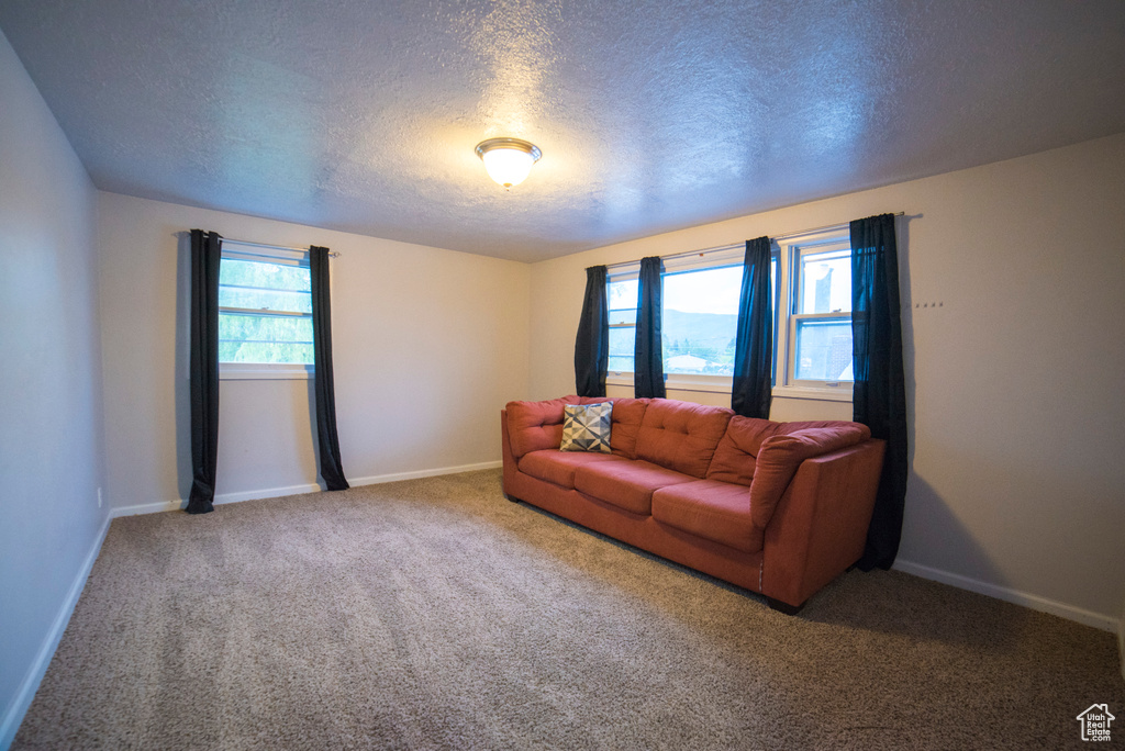 Carpeted living room featuring a textured ceiling and baseboards