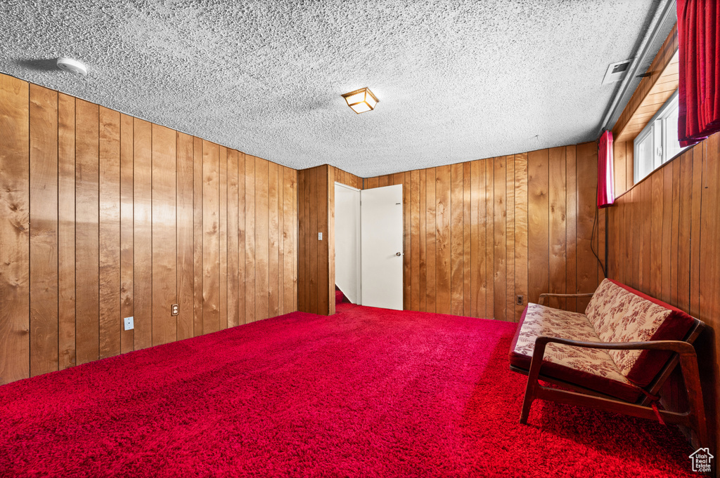 Living area with wood walls, a textured ceiling, and carpet