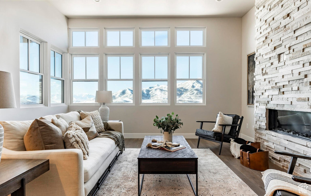 Living area with wood finished floors, a stone fireplace, and baseboards