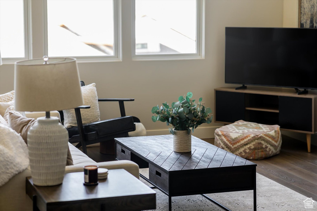 Living room featuring wood finished floors